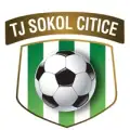 TJ Sokol Citice