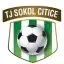 TJ Sokol Citice