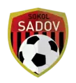 Sokol Sadov
